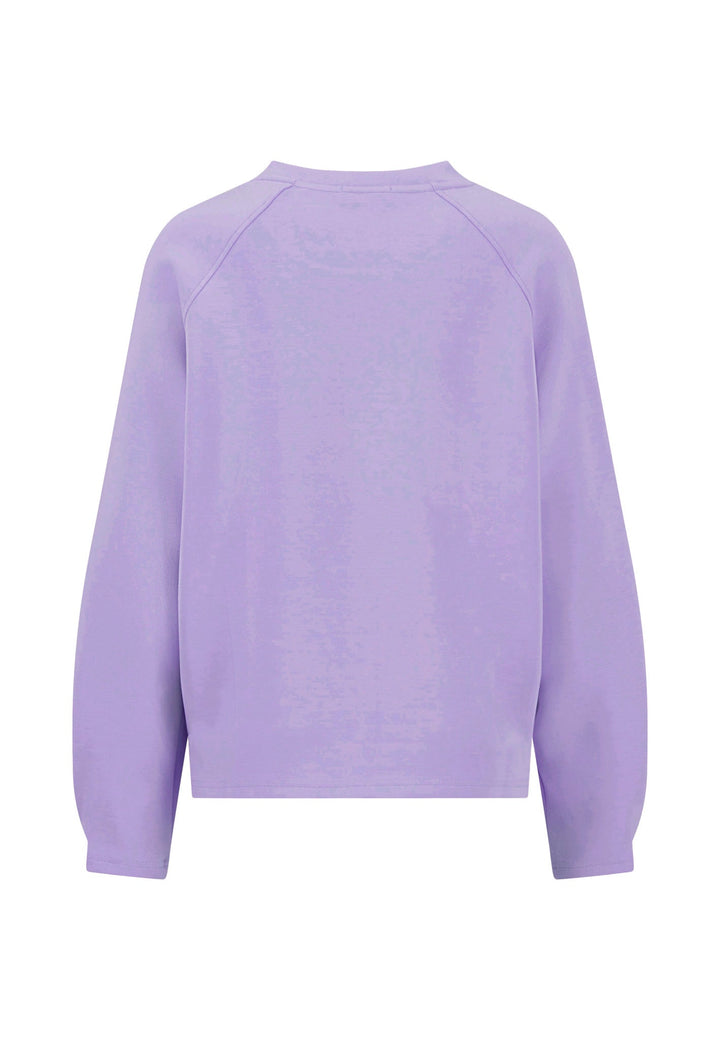 #farbe_wisteria-lilac