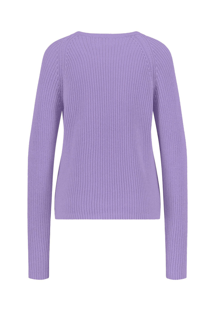 #farbe_wisteria-lilac